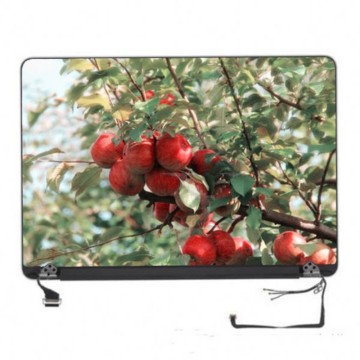 10.1 Inch B101EAN02.0 MIPI LCD Display Panel with 800*1280 Screen Resolution