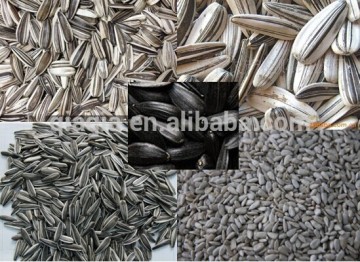 Price of seeds to produce sunflower oil