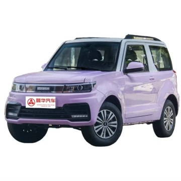 Hengrun HRS1 엘리트 : 305km 범위, 3 도어 4 석 성인 전기 SUV