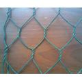 PVC recubierto de malla de alambre Hexagonal galvanizado