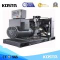 1250КВА genset Тепловозный с двигателем weichai