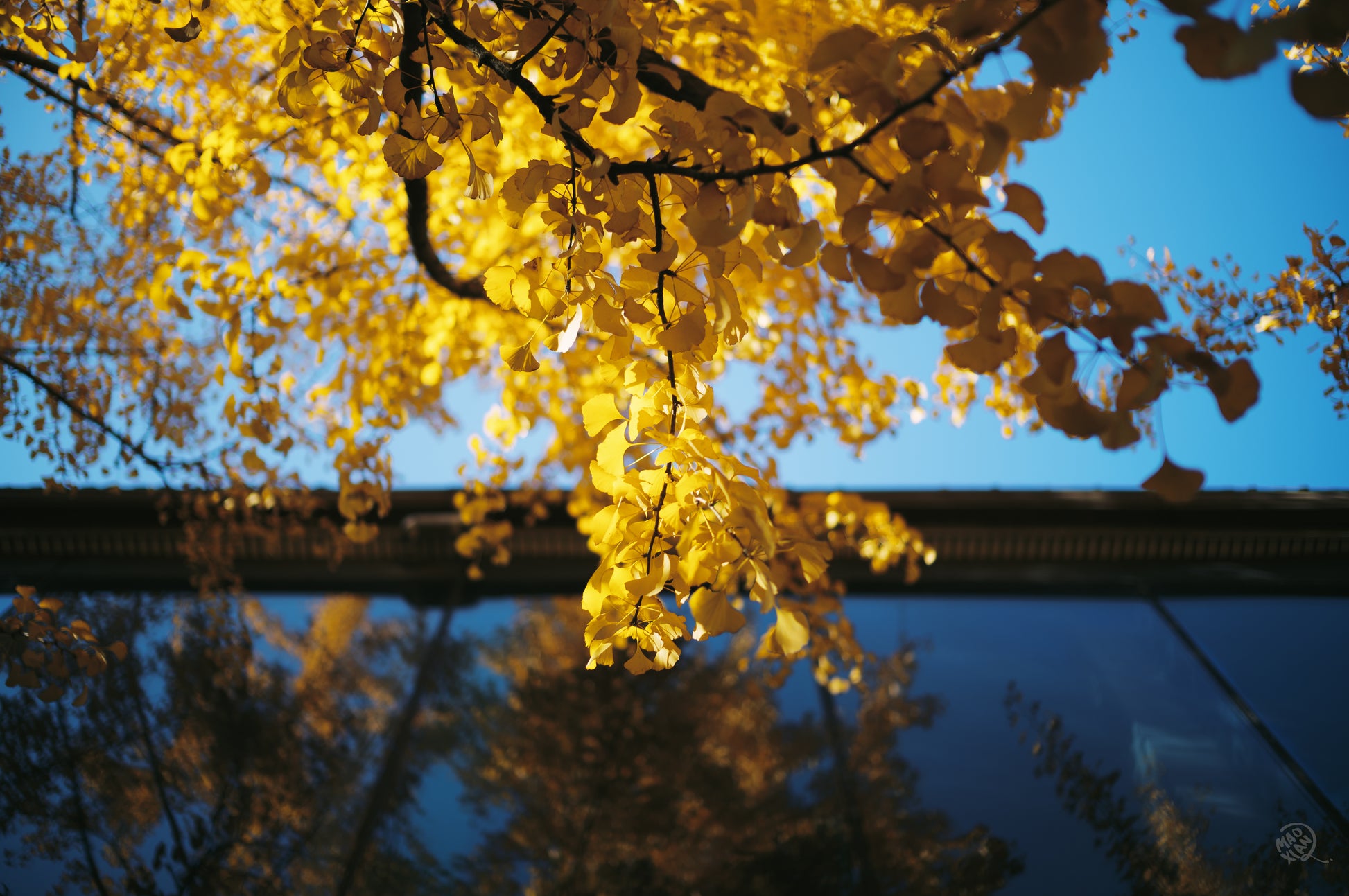 DM_20260415093319_012