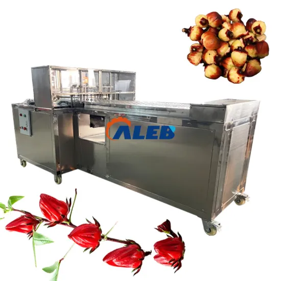 Fully Automatic Roselle Seed Remover Machine: Hibiscus Pitter for Efficient Seed Removal