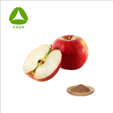 Apple Extract Apple Peel Extract Polyphenols 98%