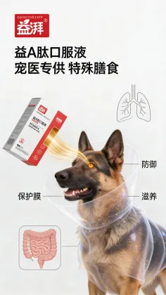 Bulk Wholesale Vitamin A Peptide Oral Liquid