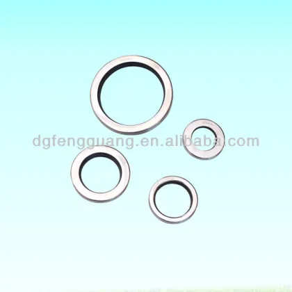 air compressor oil seal/ lip seal/ spring seal/shaft seal /ptfe lip oil seals/mechanical seal