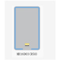 Rektangulær LED -badeværelse spejl MH16 (R50)