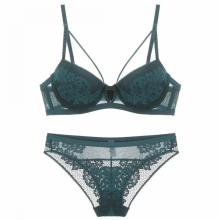 Auf Lager transparenter Spitzen-Push-up-BH-Bikini