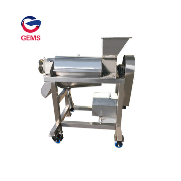 Commercial Ginger Aloe Vera Juicer Juice Making Machine
