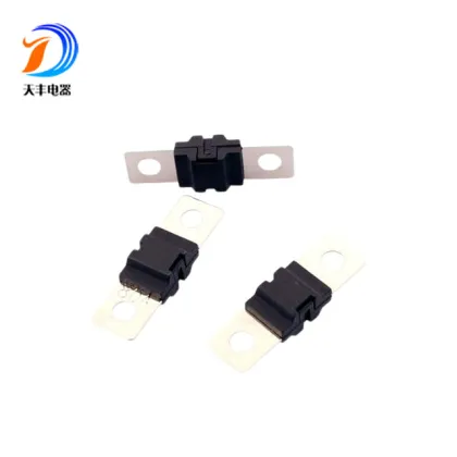 Black Auto Fuses for ANS Type Vehicles