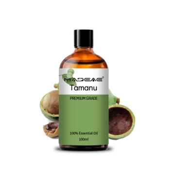 Fornecer óleo de semente de tamanu com preço por atacado para uso de cosméticos Método de extração prensada a frio