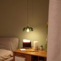 Vintage Green Glass Pendant Light Fixture LED bulb