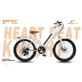 Σειρά H1 Electric City Bike