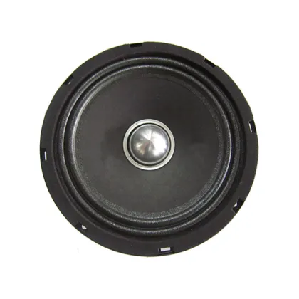 The Best Light Car Stage Speaker Speaker