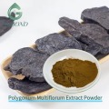 مستخلص بوليغونوم مولتيفلوروم للتركيبات الغذائية