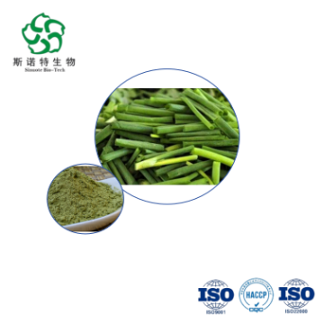 Welsh Onion Leaf Extract 10:1 for Natural Health Supplements