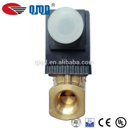 AC 220V Guide Tpye Low Pressure Air Solenoid Valve