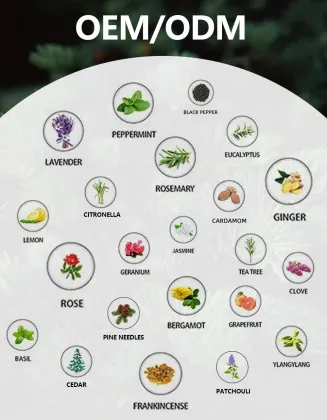 Customize Logo Wholesale Fragrance Oils Tea Tree Essential Aroma Oil