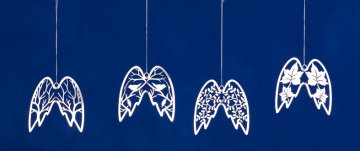 Angel wings