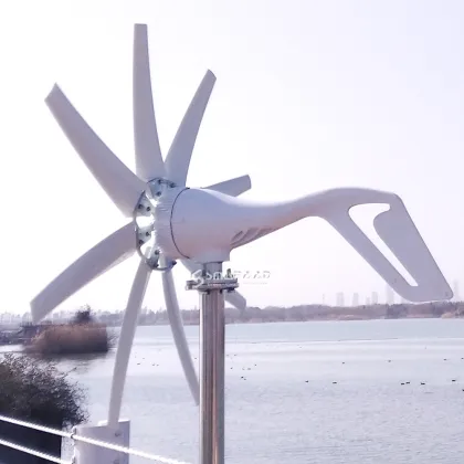 1KW 12V 24V domestic wind turbine Wind Turbine White