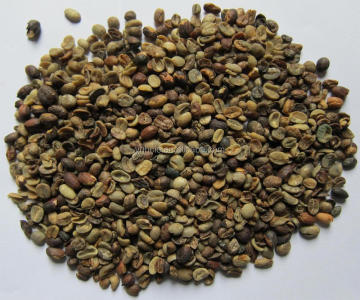 big size coffee beans broken
