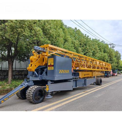 1ton Mini Crane Selfering
