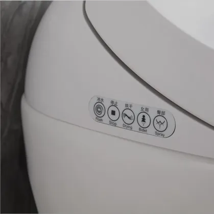Smart Bidet Toilet Seat