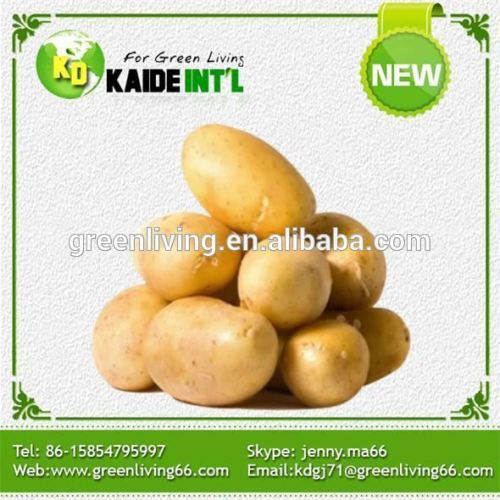 2016 New Mature Fresh Potatoes Low Price