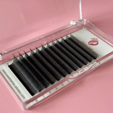Wholesale High Quality YY Individual Y Wire Eyelash Clusters for Volume Extensions