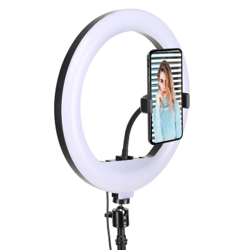 Zomei SMD Fill-in Lamp Circle Video Ring Light - 12 Inch LED Ring Light for Selfie