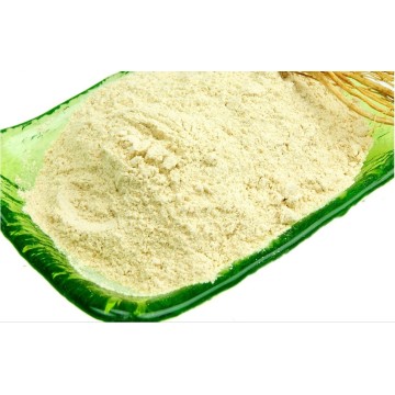 GMP Factory Supply Ginseng Extract Powder 80% Ginsenosides UV