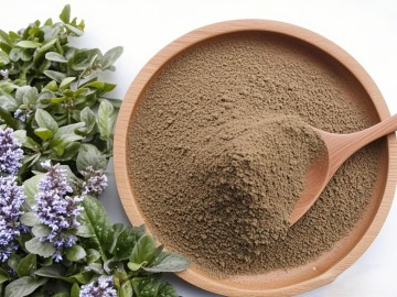 Ajuga Turkestanica Extract for Enhanced Skin Radiance