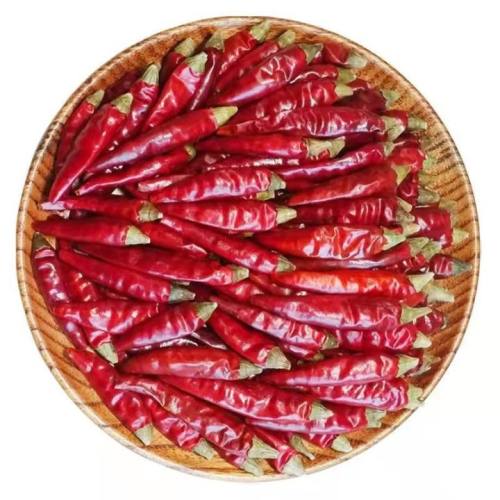 Yan Chili Wholesale high quality Guizhou Plateau pepper not added Factory