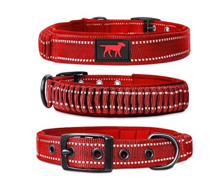 Ballistic Nylon Heavy Duty Dog Collar