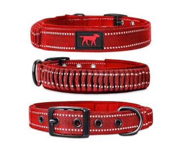 Ballistic Nylon Heavy Duty Dog Collar