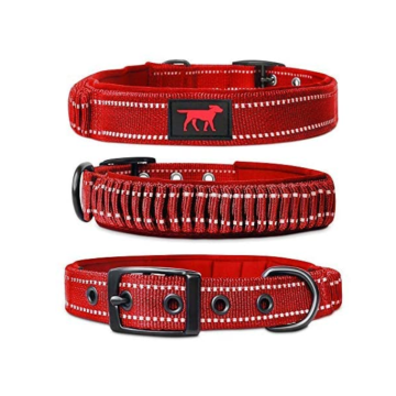 Collar de perro de servicio pesado de nylon balístico