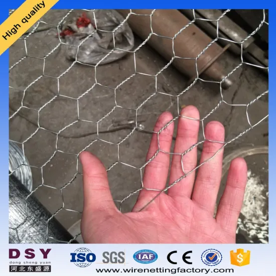 Hexagonal Wire Mesh for Protection
