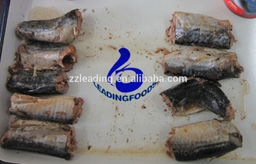 Canned Fish Product Best Quality China Good Flavored Canned Mackerel in Water and Salt Added