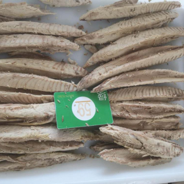 Frozen fish fillet precooked skipjack Tuna Loin