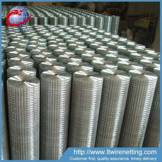 18 gauge electro galvanized 1x1 welded wire mesh for sale