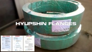 PN6 BS4504 EN1092-1 DIN Plate Flanges