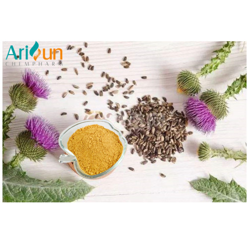 Liver protection UV20%-95% Milk Thistle Extract Powder Silymarin/Silybin Manufactory