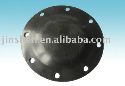 China Shang hai Diaphragm