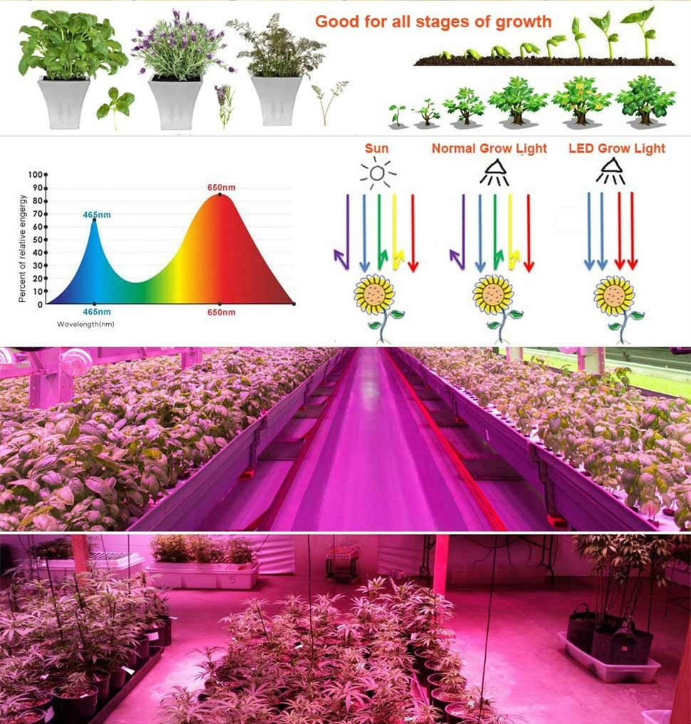 Full Spectrum Grow Lamp for Hydroponic Indoor Plants