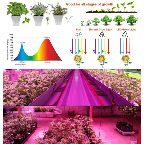 Full Spectrum Grow Lamp for Hydroponic Indoor Plants