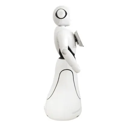 Female Customer Service Receptionist Robot Automation Assistant