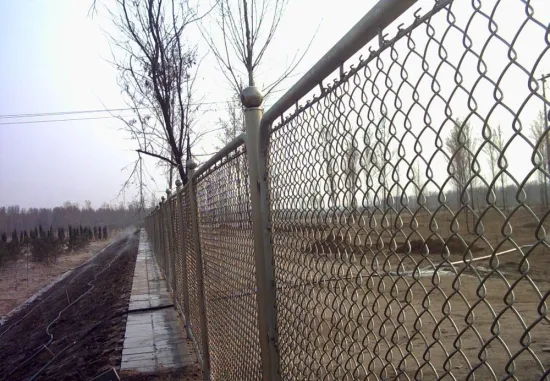 Low Carbon Stee, Stainless Steel Diamond / Square Welded Wire Mesh Fences For River Banks
