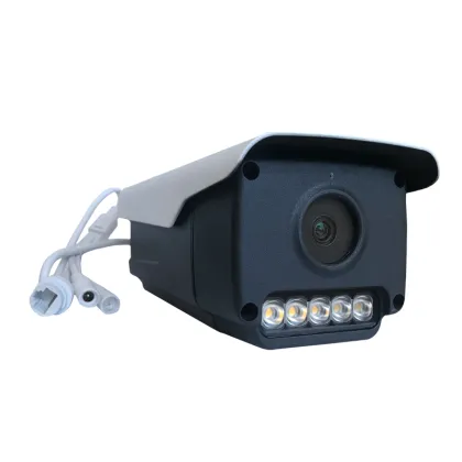 Blacklight Full Color Day & Night IP Camera