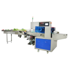 Automatic Horizontal Cartoning Box Packaging Machine For Mask