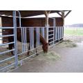 Esportazione di pannelli zincati per recinzioni di cavalli